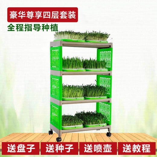 芽苗菜尊享套装 商品图2