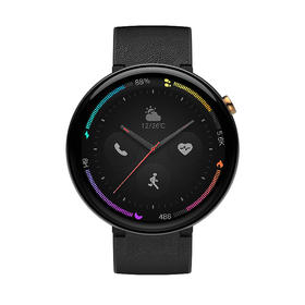 AMAZFIT 智能手表 2