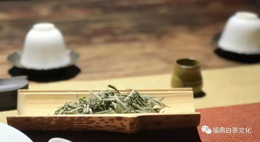 白茶，中国茶里的极简主义 商品图0