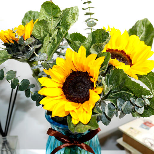 花中能量丨向日葵 商品图4