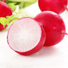 有机樱桃萝卜 商品缩略图1