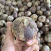 产地直邮-云南大理紫皮独头蒜（鲜蒜）3斤/5斤 大果 下单48小时发货～ 商品缩略图3
