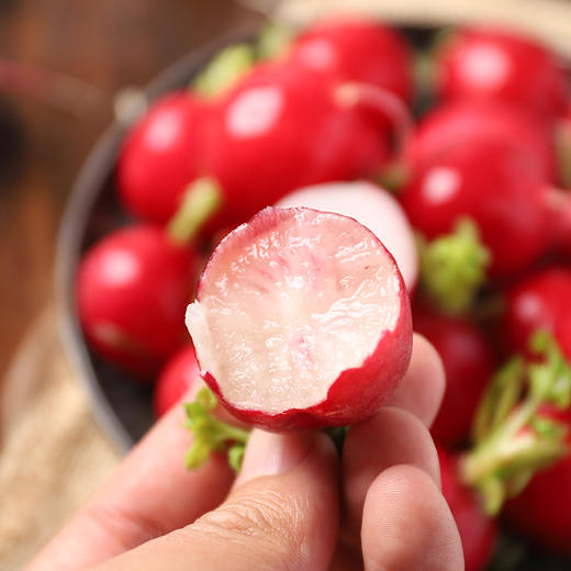 有机樱桃萝卜 商品图3