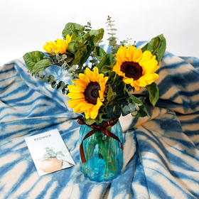 花中能量丨向日葵