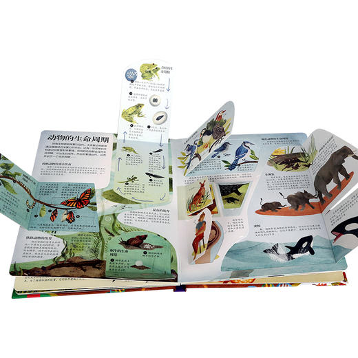 乐乐趣揭秘翻翻书系列第五辑（共4册） 揭秘生物  原价：68.8元 商品图1