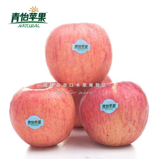 【红富士苹果】可以连皮吃的苹果（快递6枚起发） 商品图1