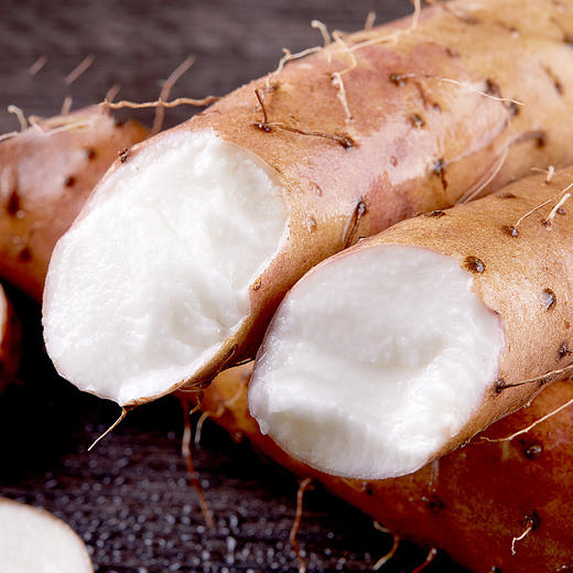 有机山药 商品图0