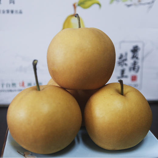 【北京有机梨】5斤装(约5-9个)中国梨王 有机种植 三个品种轮流发货