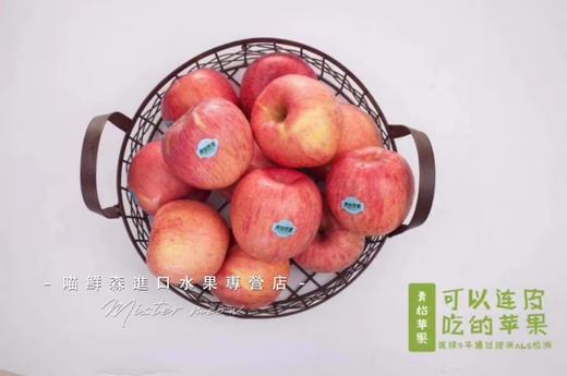 【红富士苹果】可以连皮吃的苹果（快递6枚起发） 商品图2