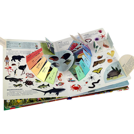 乐乐趣揭秘翻翻书系列第五辑（共4册） 揭秘生物  原价：68.8元 商品图2
