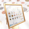 【直播】【硬币相框】丝路35国钱币珍藏套装 商品缩略图1