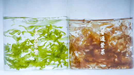 【买四包送一包  买八包送两包再送一罐虾皮】紫菜妈妈有机头茬紫菜   50g/包  （4包/8包） 商品图9