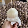 产地直邮-云南大理紫皮独头蒜（鲜蒜）3斤/5斤 大果 下单48小时发货～ 商品缩略图1