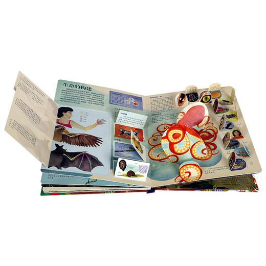 乐乐趣揭秘翻翻书系列第五辑（共4册） 揭秘生物  原价：68.8元 商品图4