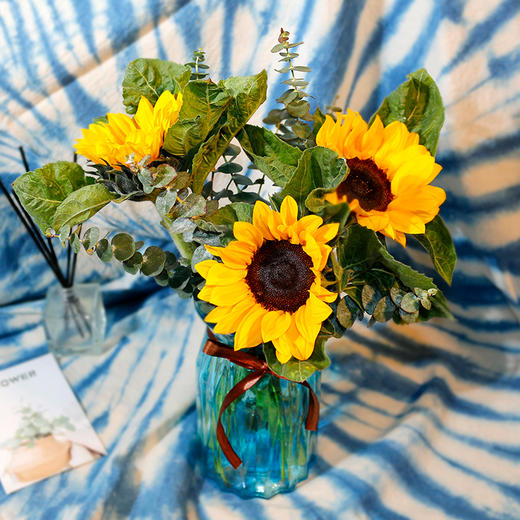 花中能量丨向日葵 商品图2