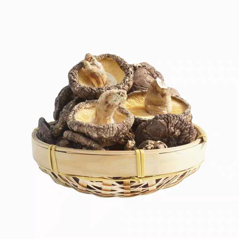 野生椴木菇（炖鸡绝配）