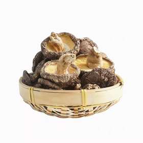 野生椴木菇（炖鸡绝配）