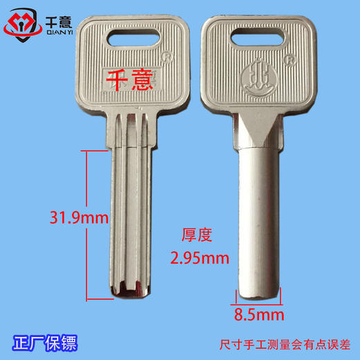 正厂保镖 商品图0