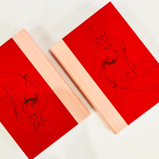 巴塔耶：爱神之泪//棱镜精装人文译丛 商品图3