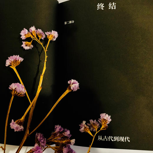 巴塔耶：爱神之泪//棱镜精装人文译丛 商品图7