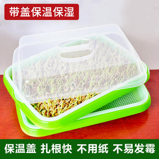 芽苗菜种植育苗盘 商品图2