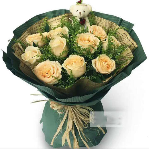 清纯美人        11支香槟玫瑰，黄莺搭配，1小熊。（1887） 商品图0
