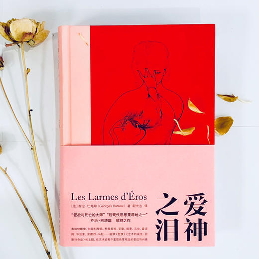 巴塔耶：爱神之泪//棱镜精装人文译丛 商品图2