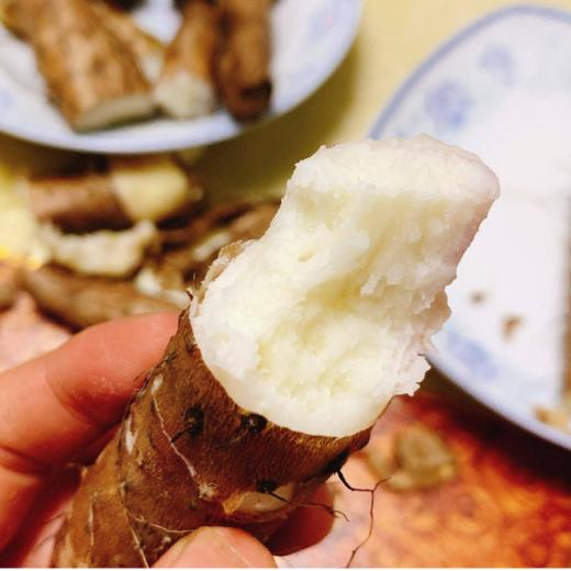 2025新上市【温县垆土铁棍山药​】粉糯香面 ，绵软如沙 商品图4