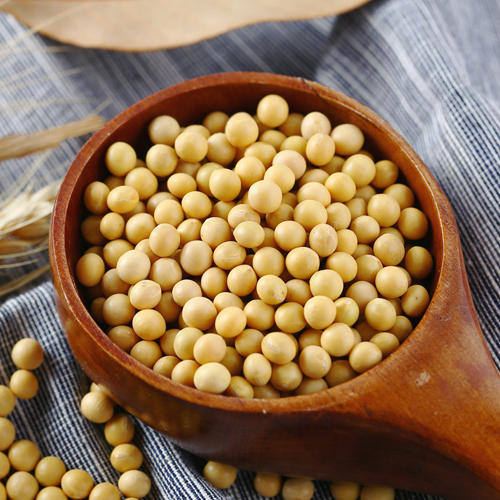 云南农家非转基因小黄豆3斤