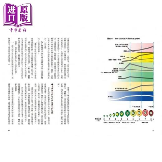 【中商原版】田口护的咖啡方程式 畅销纪念版 港台原版 田口护 旦部幸博 积木 商品图3