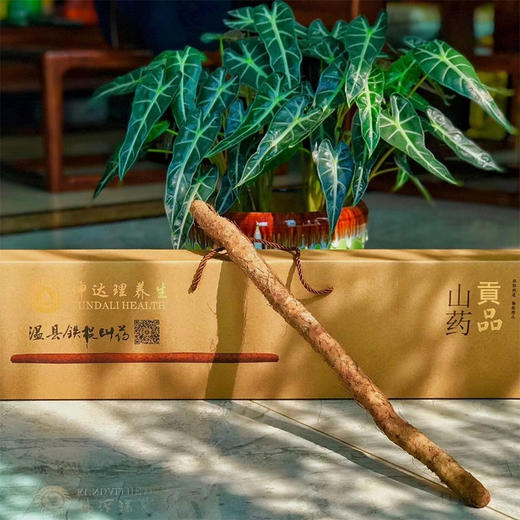 【当季现挖垆土山药】怀生堂温县垆土铁棍山药开挖开售 商品图1