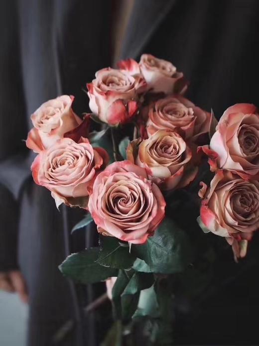 【拍市玫瑰】卡布奇诺 单头 10枝/扎  约60公分 商品图0