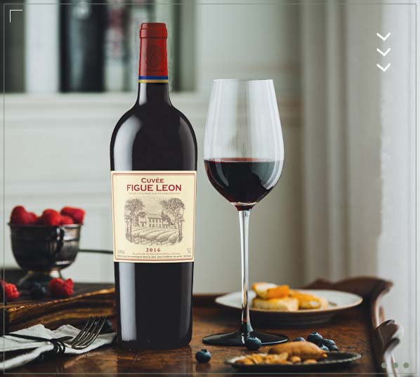 法国拉斐莱恩菲戈原瓶进口红酒750ml VCE级干红葡萄酒