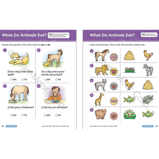 Evan-Moor Smart Start STEM  聪慧启蒙系列 核心素养 商品图3
