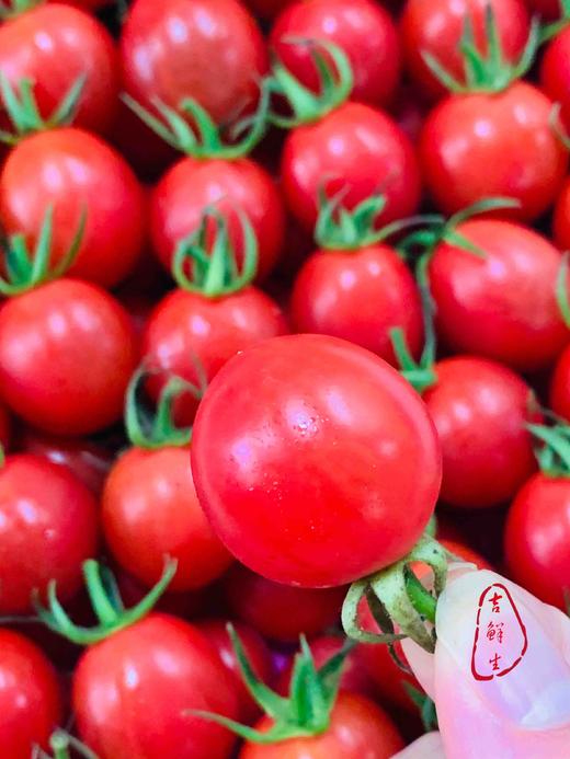 正宗海南陵水小番茄，鲜美可口，超级美味！原装4斤特价 商品图1