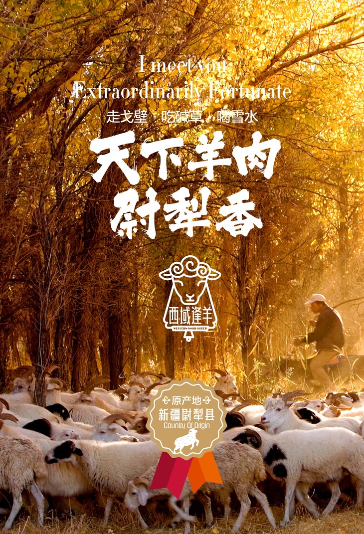 正宗新疆塔河尉犁现宰羔羊肉·5斤装