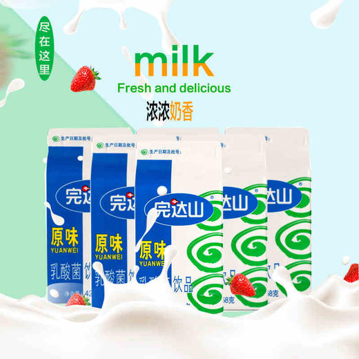 完达山原味乳酸菌饮品428g*12盒 商品图2