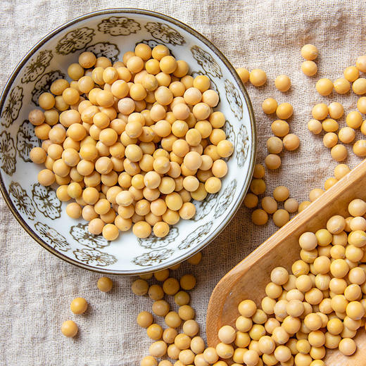 云南农家非转基因小黄豆 3斤 商品图2