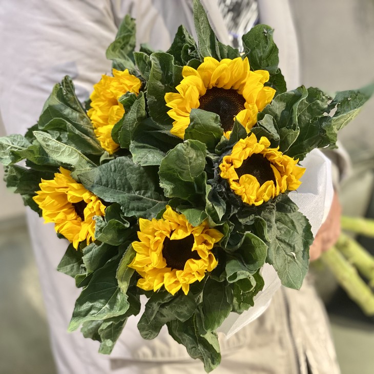 向日葵鲜切花(入目无他人,四下皆是你)