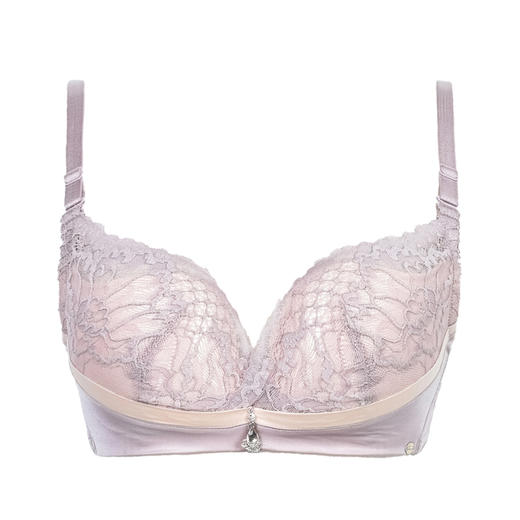 皇家丽美托胸深V文胸舒适两排扣蕾丝美背内衣WW1812-3 商品图2