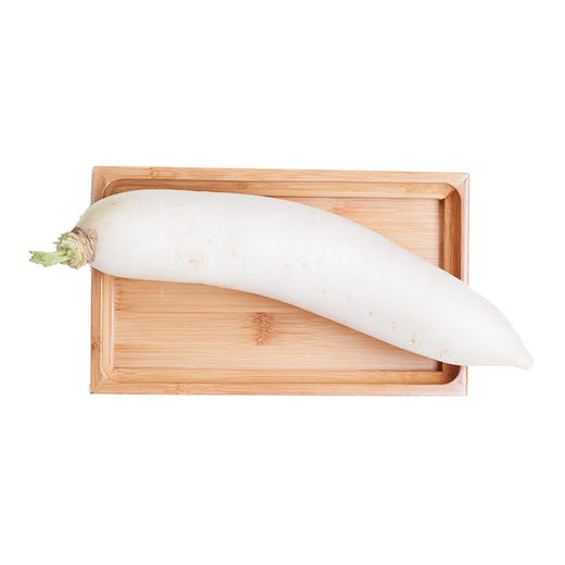 【蔬】白萝卜 一根（约600个） 商品图0