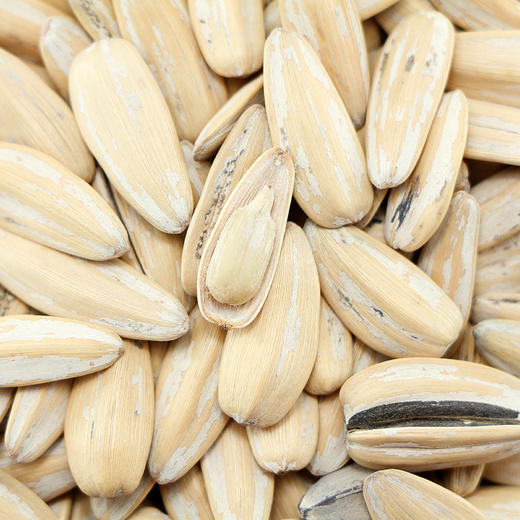 锅香古法瓜子350g（AA） 商品图1