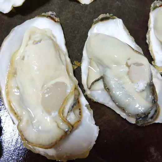 山东乳山生蚝，个体大、肥度高、肉质好、味鲜美  保鲜保活～ 商品图1
