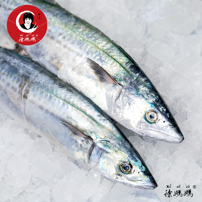 鰆鯃（象山川乌）