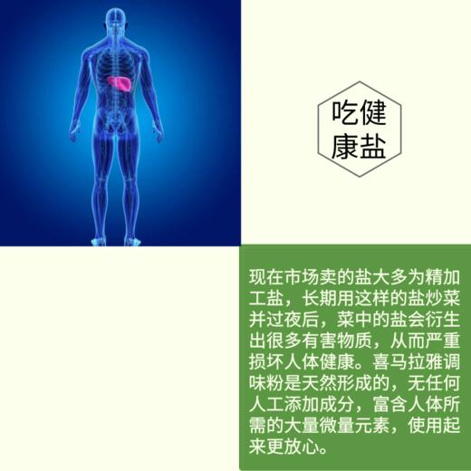 堤娜矿物调味粉 500g/盒 商品图4