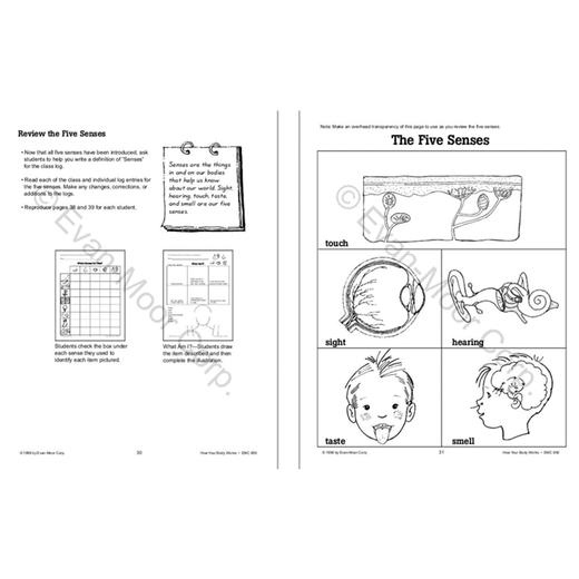 Evan-Moor Science Words For Kids Series 小小科学工坊系列  美国加州原版教辅 商品图6