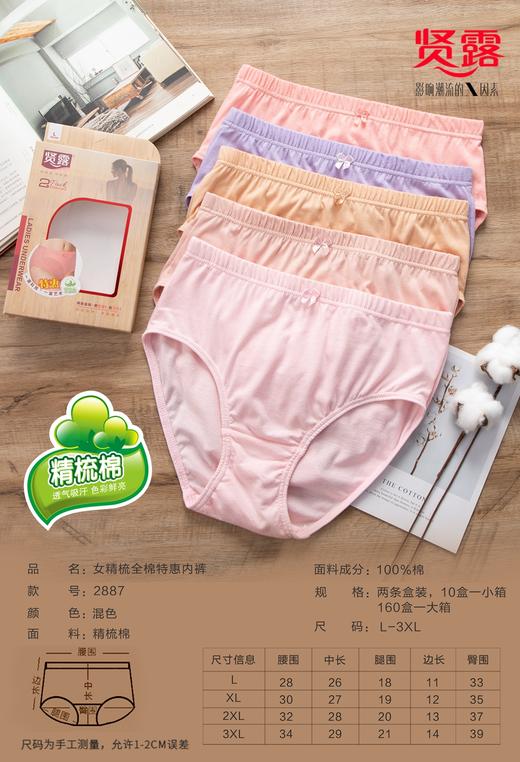 云感棉精梳棉净色大版中高腰女士三角内裤2862/2888/2887 商品图2