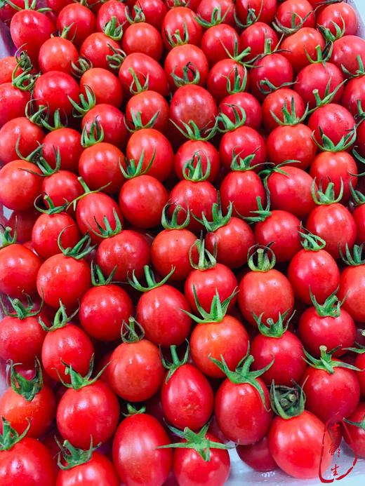 正宗海南陵水小番茄，鲜美可口，超级美味！原装4斤特价 商品图0