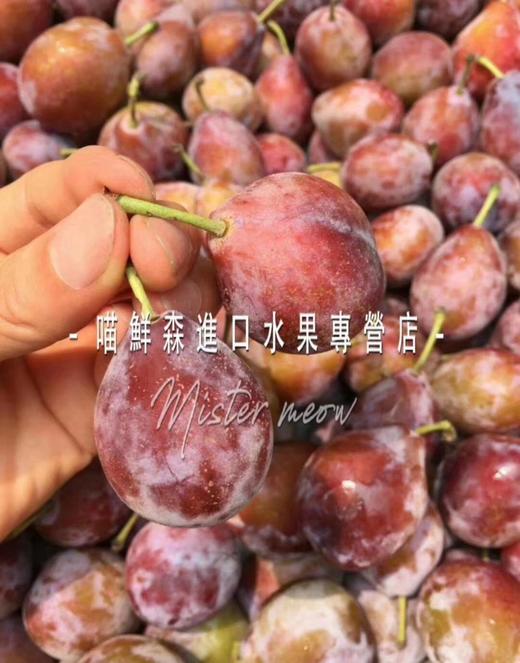 🛵智利🇨🇱JJ级西梅（纯甜多汁） 商品图3