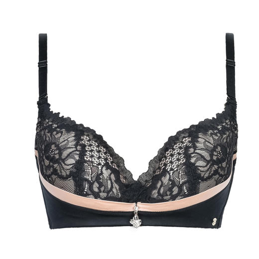 皇家丽美托胸深V文胸舒适两排扣蕾丝美背内衣WW1812-3 商品图1